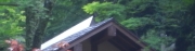 離れに「たまだれ庵」があります。甘味処です雰囲気も良くて良い感じです。